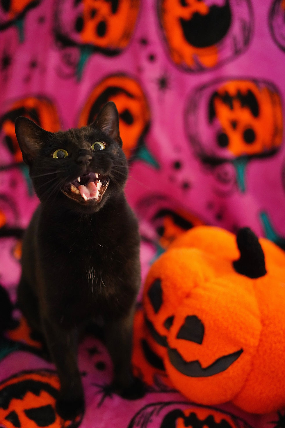 4D99482A-9E16-44F0-9F98-1D4B18A89514