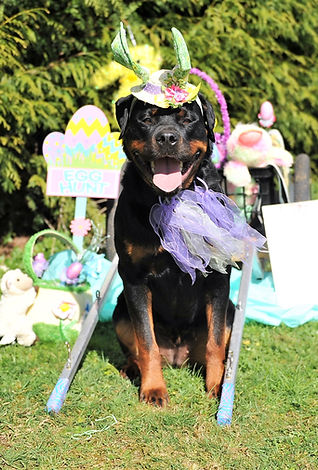 super cute EL easter bonnet.jpg