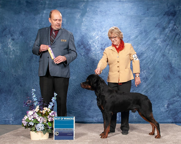 Jack Elsie Murray 2019 Win pic.jpg