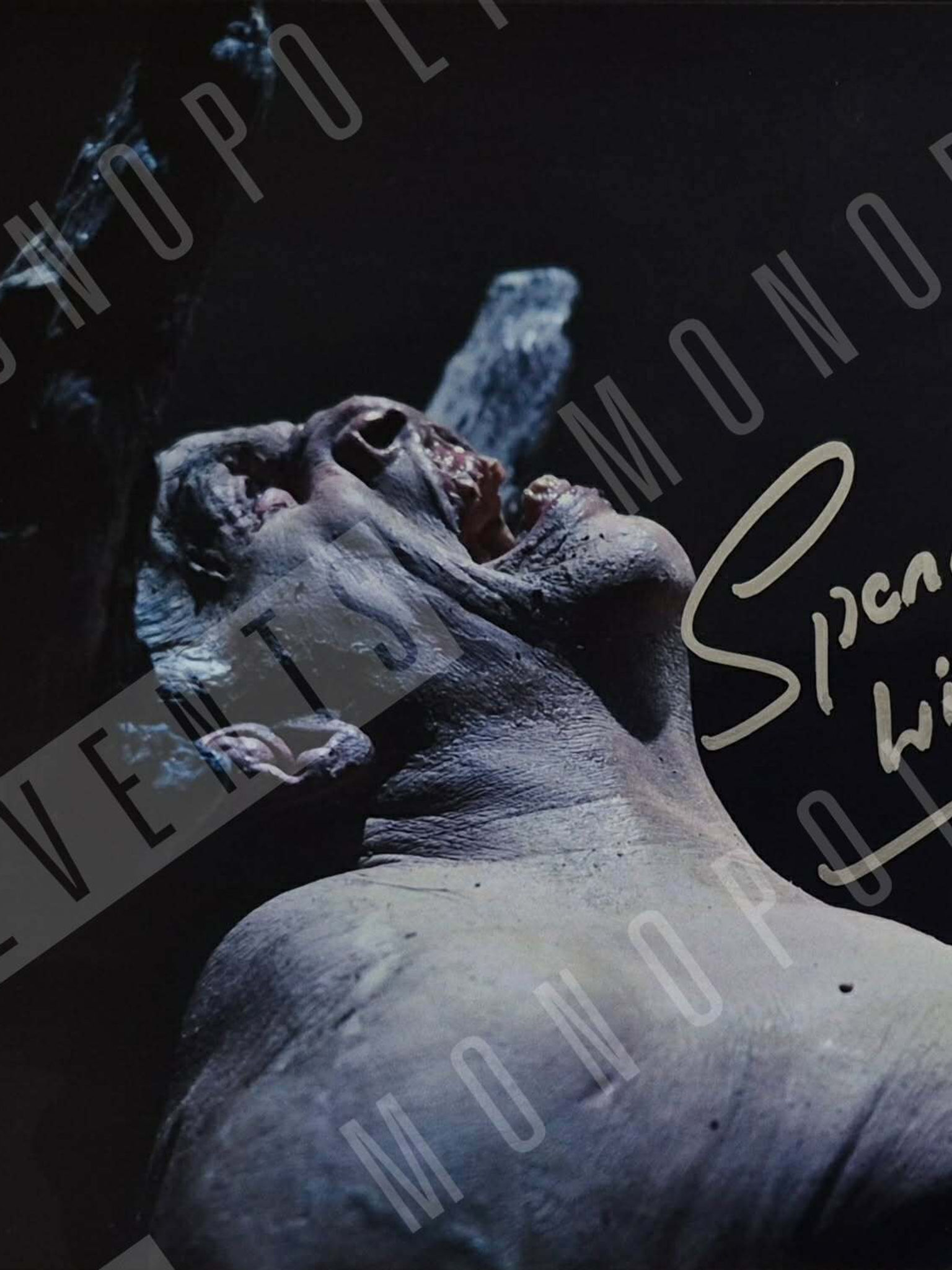Spencer Wilding Signed Wrath of Titans 10x8" Print