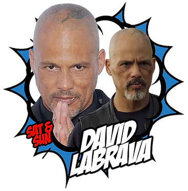 david-labrava.png