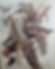 Brian Beacock Signed Naruto:Shippuden 8x10” Print