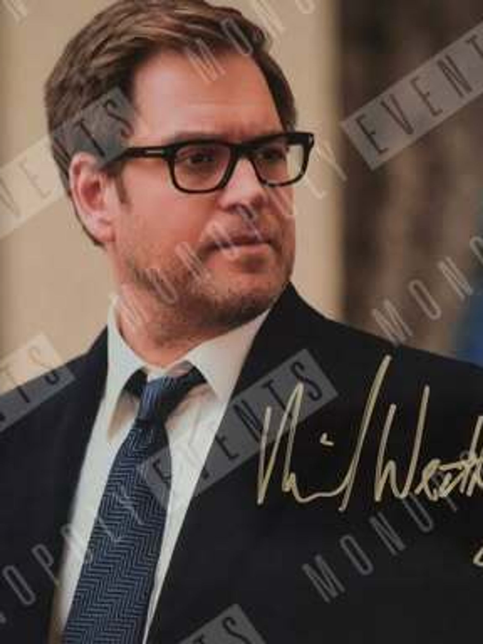 Michael Weatherly Signed Bull 10x8" Print