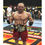 Thumbnail: 8x10" UFC Print Signed by Randy Couture