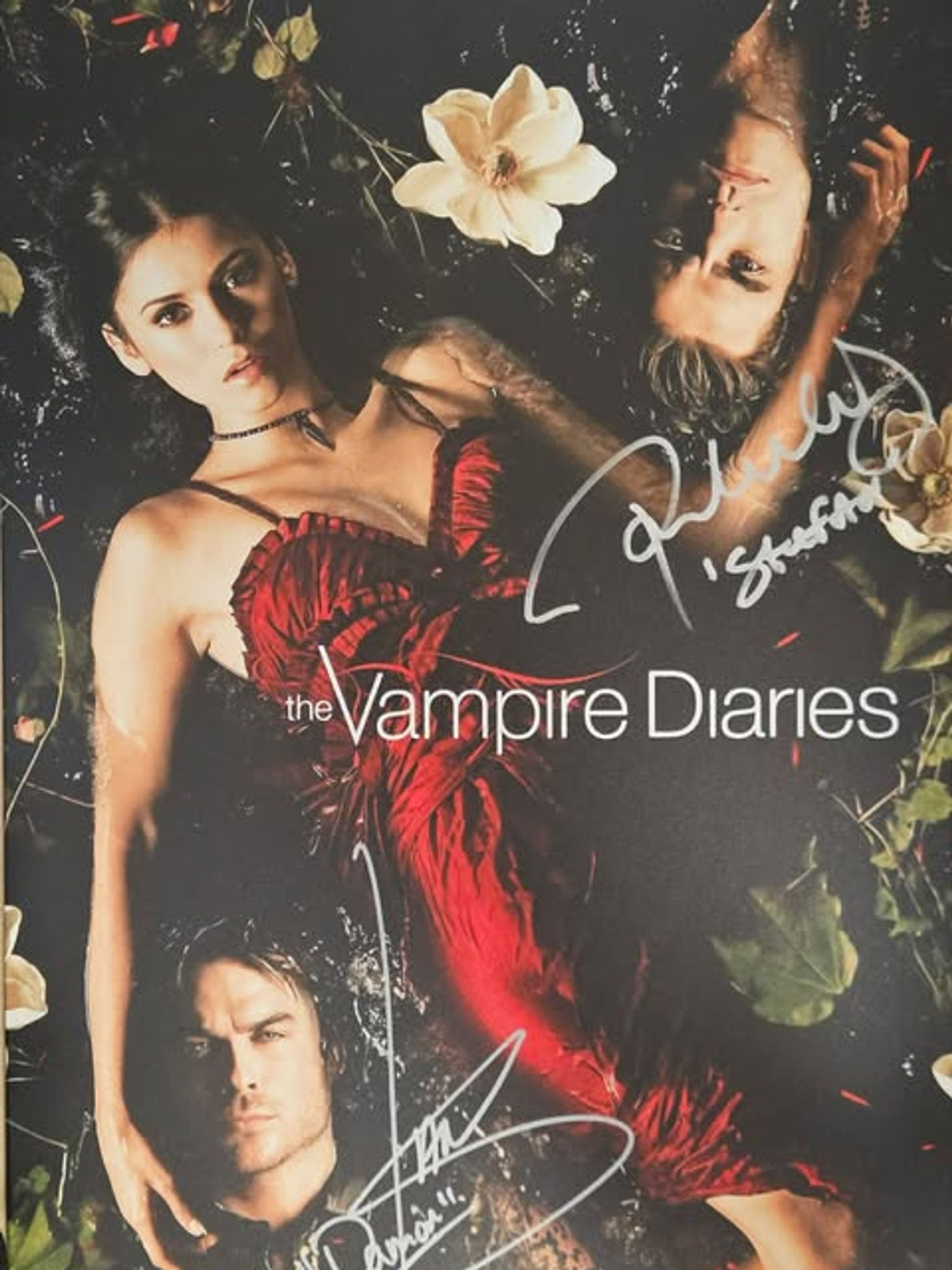 Ian Somerhalder & Paul Wesley Signed The Vampire Diaries Displate