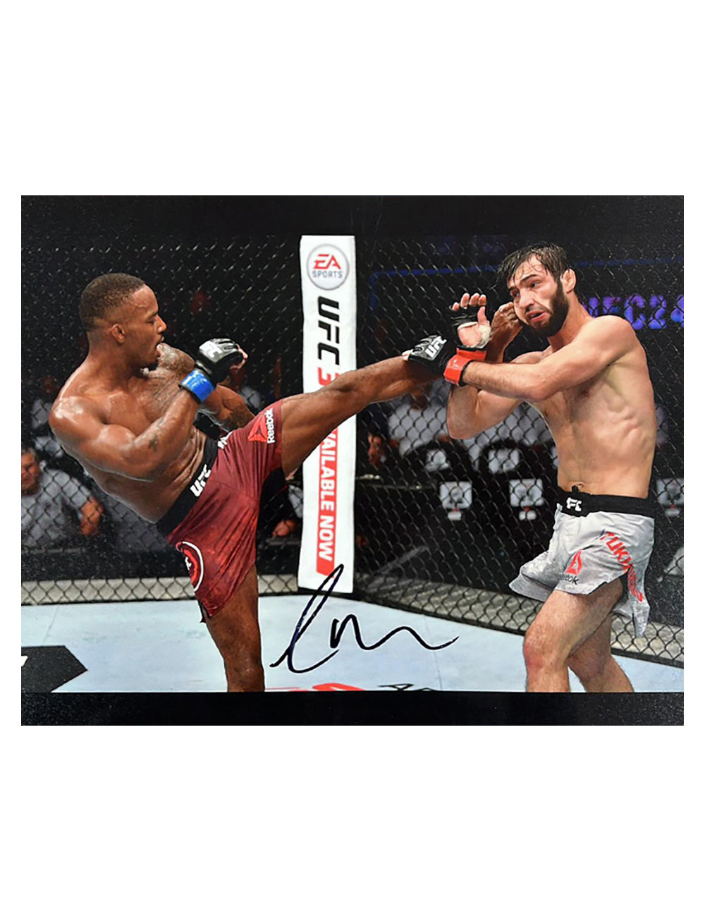 10x8" UFC Print Signed by Lerone Murphy