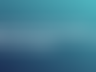 Motorista de “frescão” não terá direito a diferenças salariais por ter de cobrar passagens