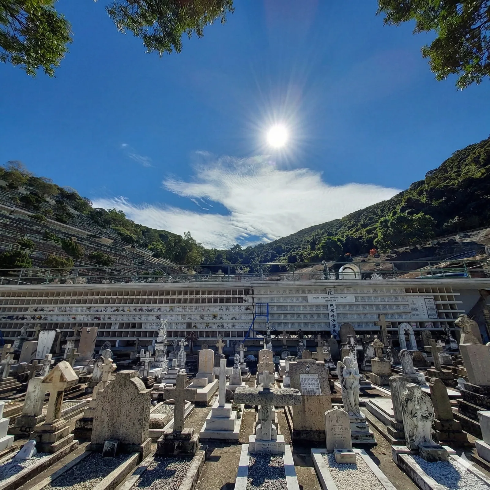 綠意盎然、管理完善的天主教聖彌額爾墳場安息環境 