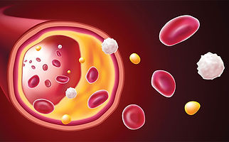 melbourne lipid centre 2.jpg
