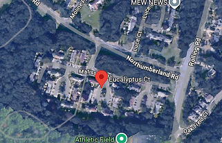 Overhead map of Newington Station