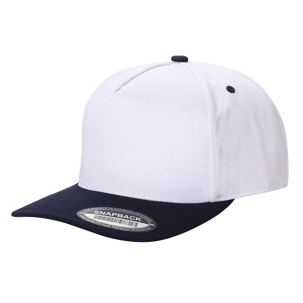 Thumbnail: TWO COLOR SNAPBACKS CAPS