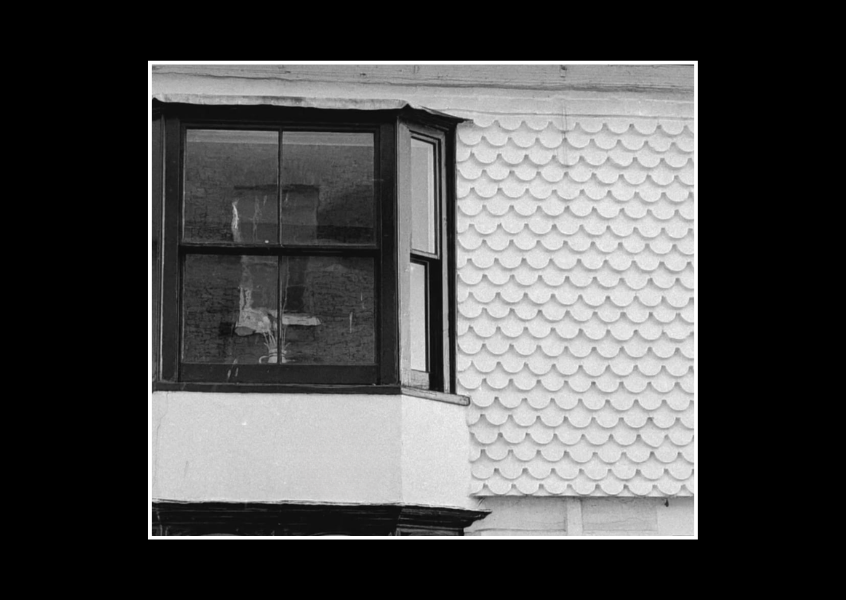 Photograph of scallop cladding