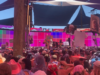 Festival deaths fuel fresh calls for pill testing