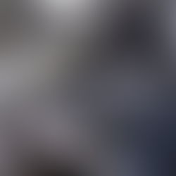 Captive attractions: Japan's bear parks under scrutiny