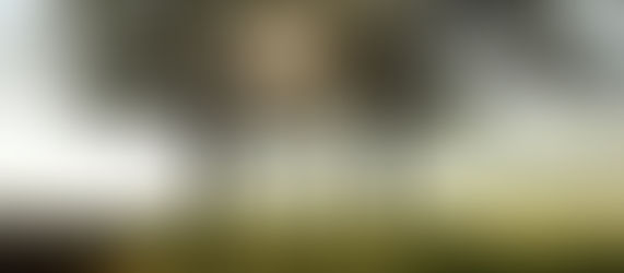 Galerie - Hooppics - Hoopspam