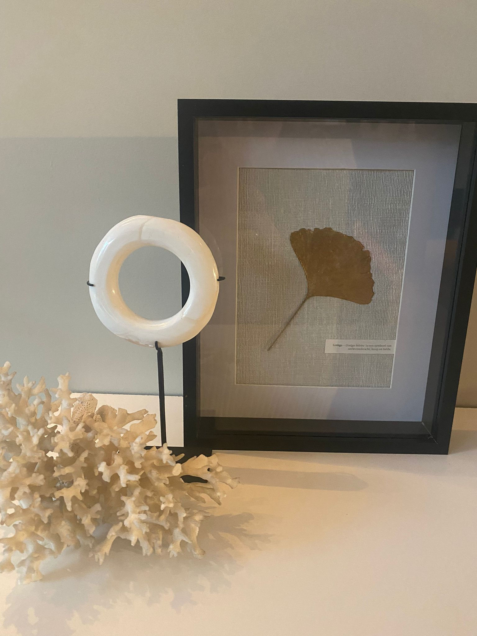 schilderij Ginkgo Biloba zwarte lijst.