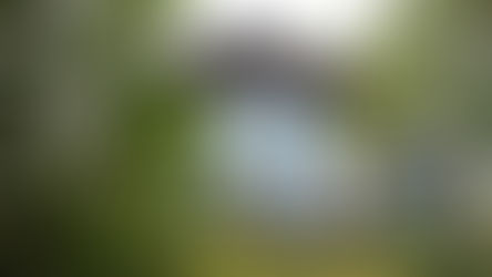 Jakob Wesik om resan till att bygga ett personligt Vimmerbyhus