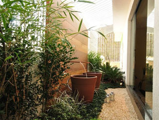 Um jardim pra chamar de MEU!