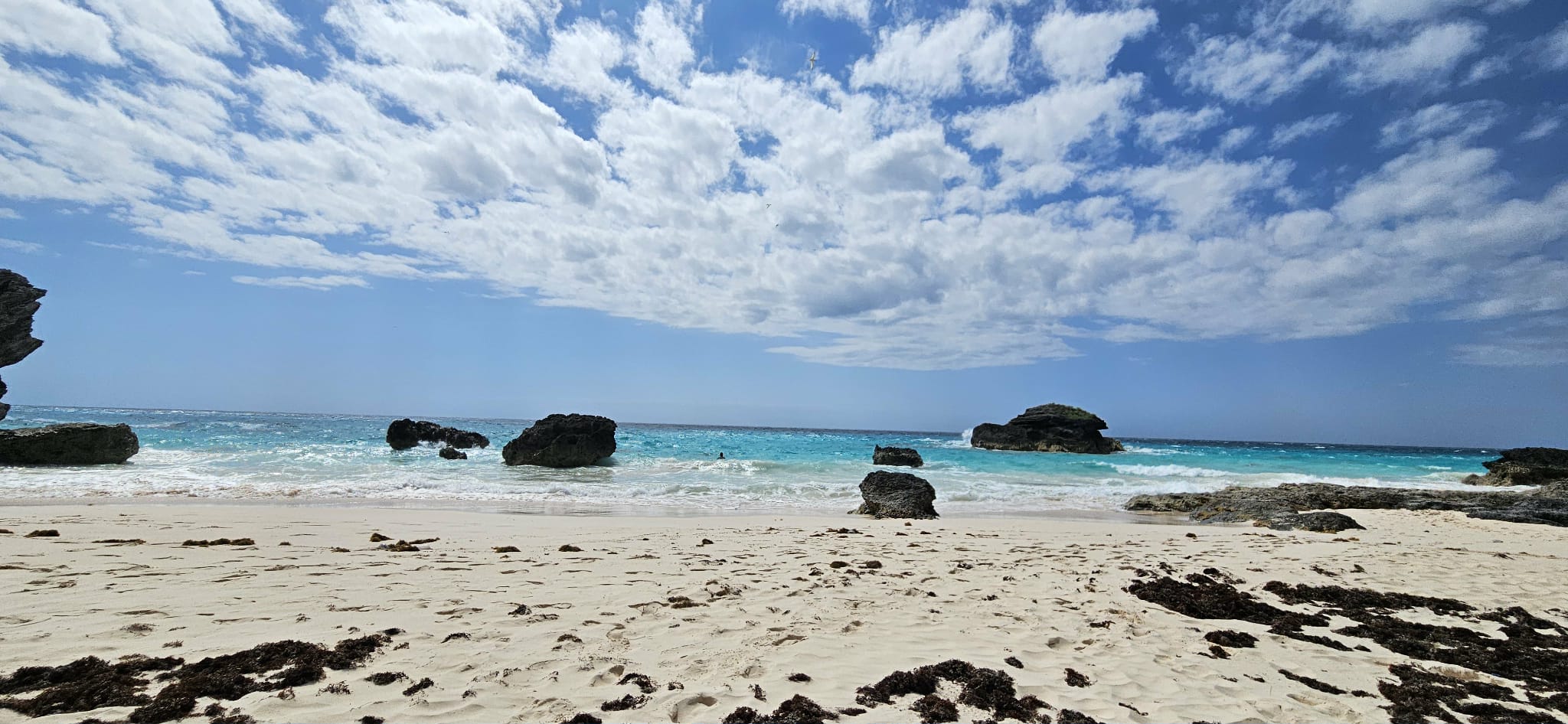 Bermuda beach