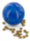 AVSAB logo.jpeg