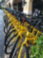 Bike Rental