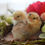 Thumbnail: Icelandic Landrace Chicken