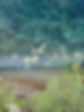 kjx3nulw_edited.jpg