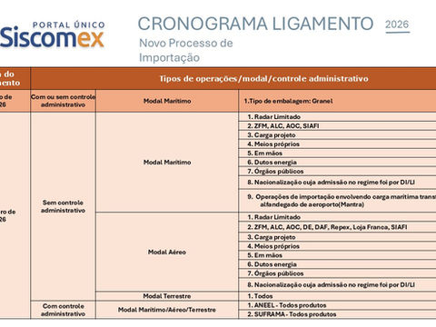 Atualização do cronograma oficial da DUIMP: o que importar sabe sobre o ligamento