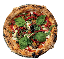 VEGE ORTO_edited.png