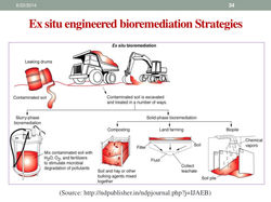 Ex Situ Strategies (2.6)