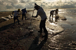 Cleaning Up the Gulf