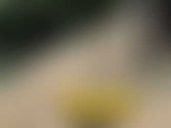 Why Driveway Sealing is a Smart Investment