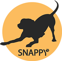 logo snnapy copy.png