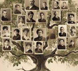arbre généalogique.jpeg