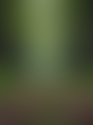 Hey, can trauma mess with your understanding of boundaries? Let's talk about it.