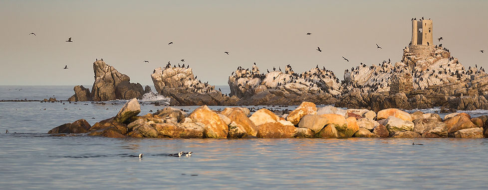 Overzicht Stony Point bij Betty's Baai