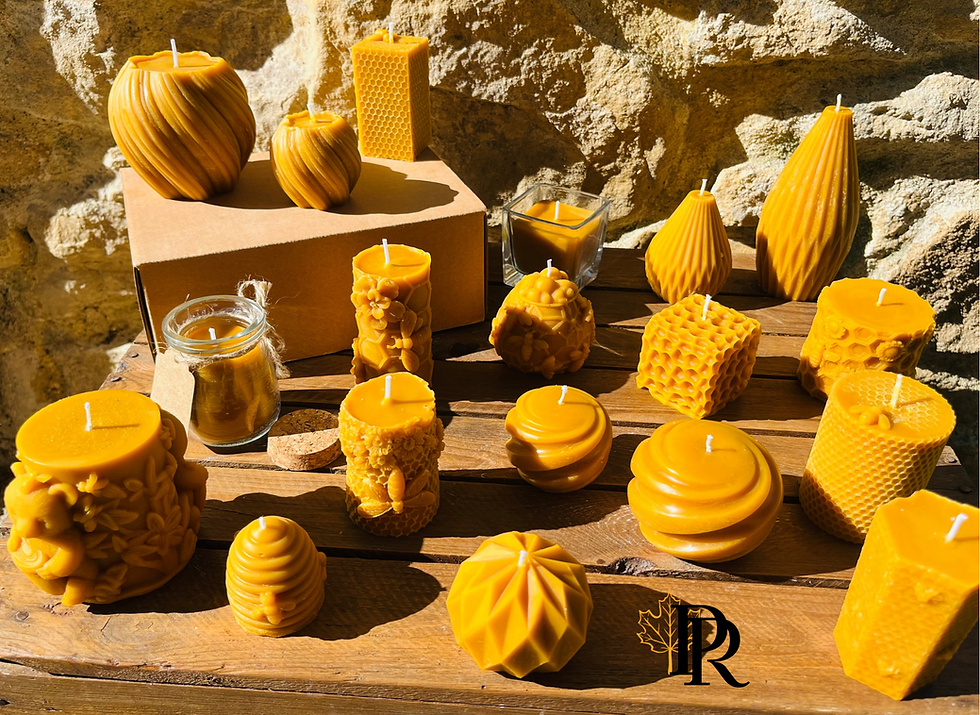 Miniature : Bougie en cire d’abeille « L’ours »