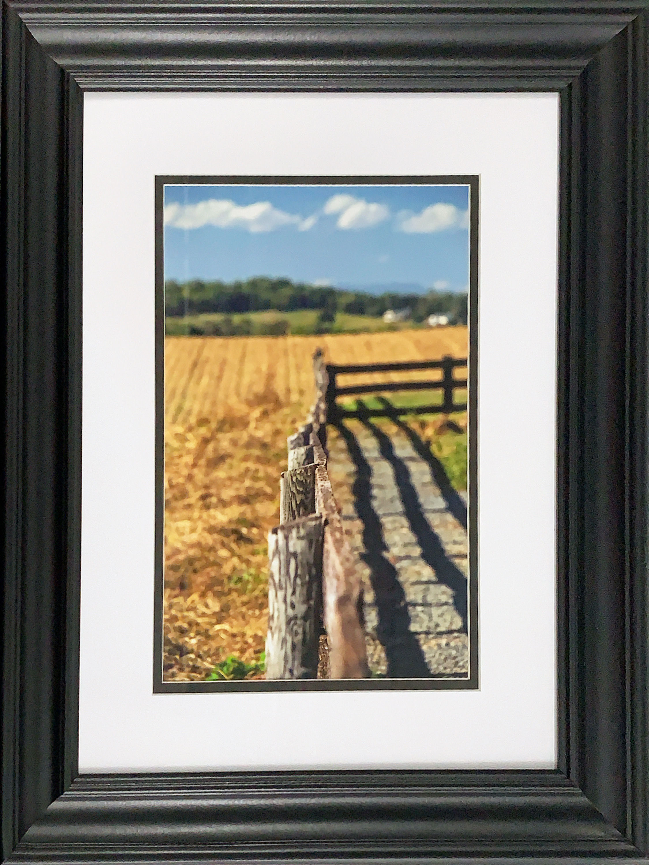 Country Fence (20x16 Framed)