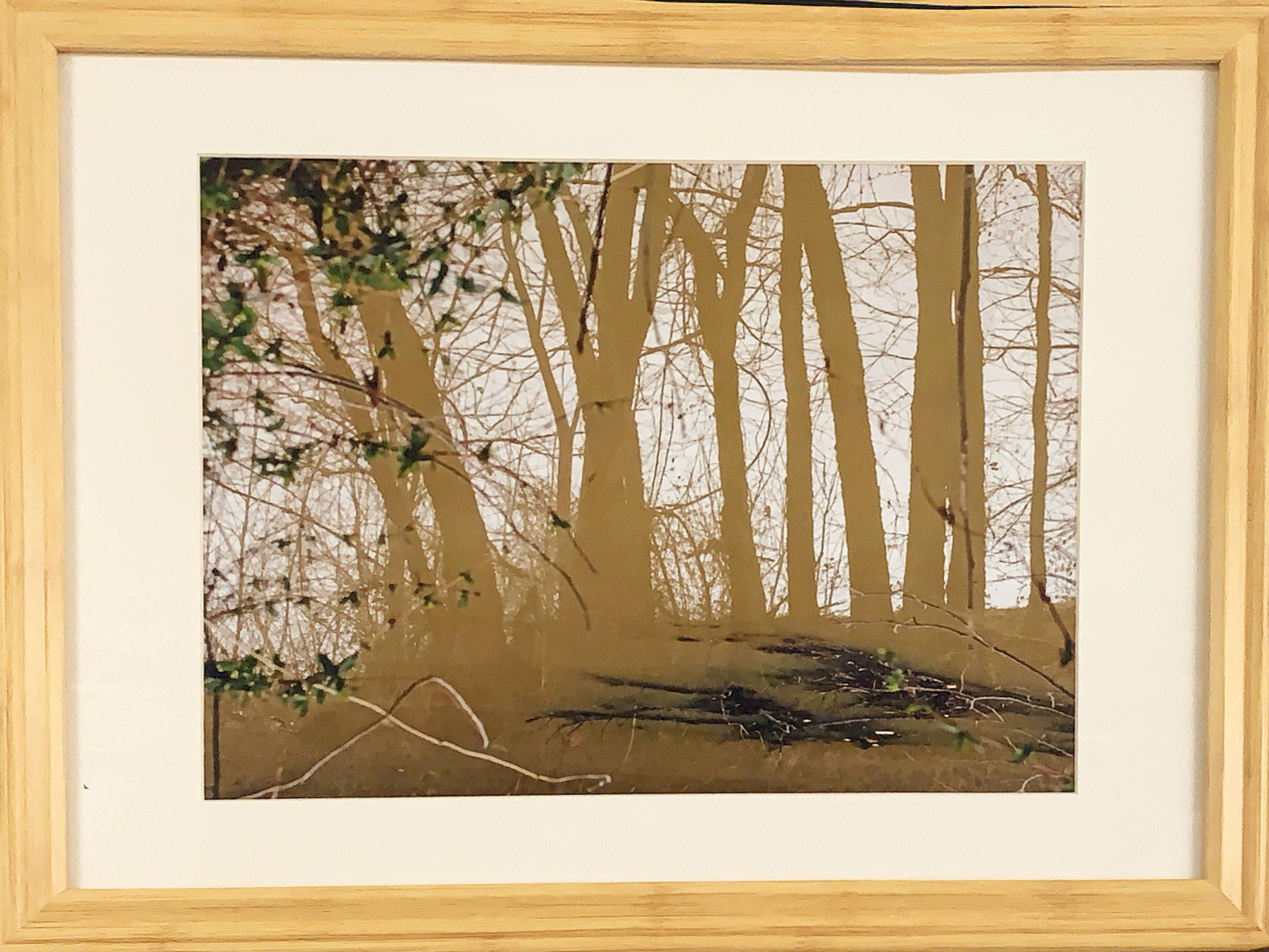 Reflective Trees (16x20 Framed)
