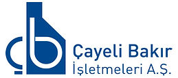 CBI_20171001_cayeli_bakir_analiz_laboratuari.jpg