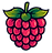 salmonberry logo new_edited_edited.png
