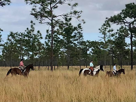 foxhunting in Triple N Ranch