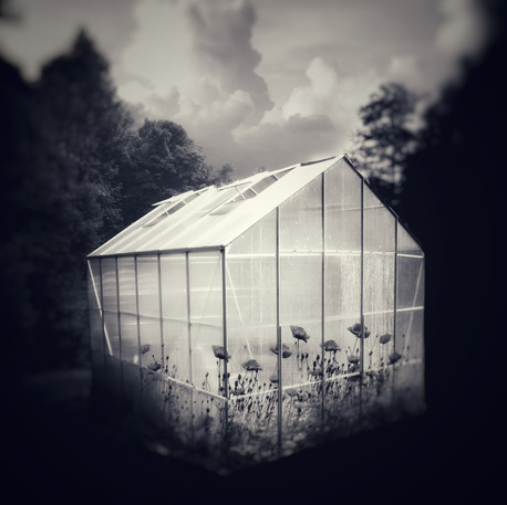 Glass Houses