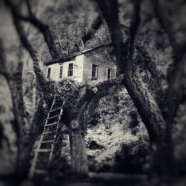 6. REVISED OUT ON A LIMB.jpeg
