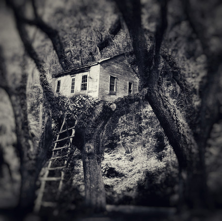 6. REVISED OUT ON A LIMB.jpeg