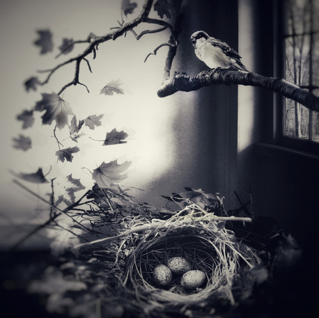5.REVISED NEST EGG.jpeg