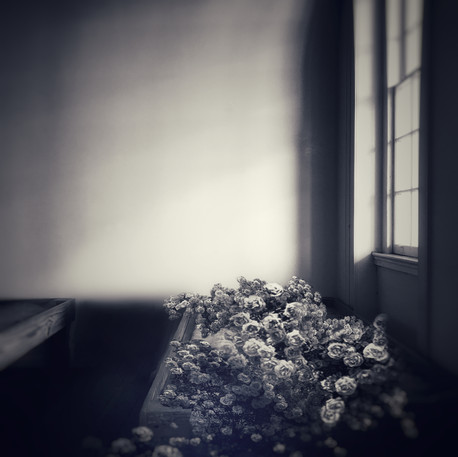 2. REVISED-BED OF ROSES.jpeg