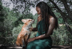Female in green dress sitting and making eye contact with red fox on a bench.