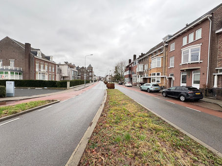 Buurtbewoners denken mee over groenere Scharnerweg