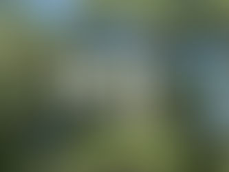 Summertime or Reverse SAD